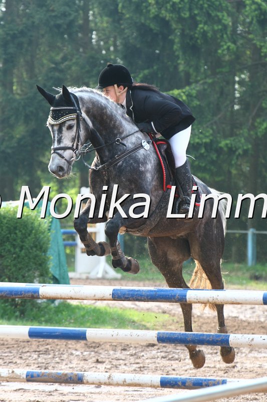 103M2971_Cucci Boy_Spring A.JPG